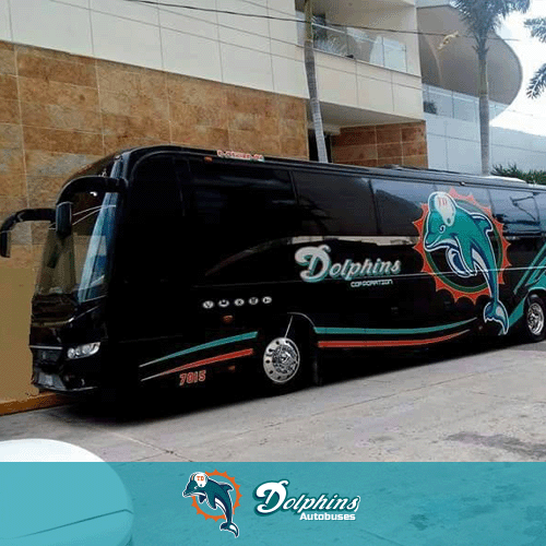 autobuses dolphins enlaces turisticos dinaza boletos de oaxaca a cdmx